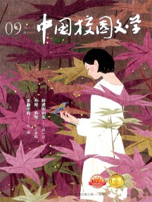 中國校園文學(xué)雜志