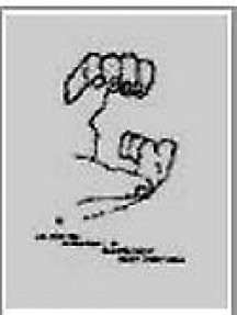 International E-journal Of Criminal Sciences雜志